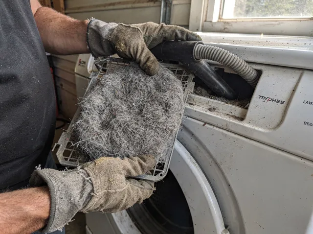 Cleaning Dryer Lint Trap in Pooler, GA