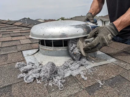 Roof Vent Cleaning in Pooler, GA